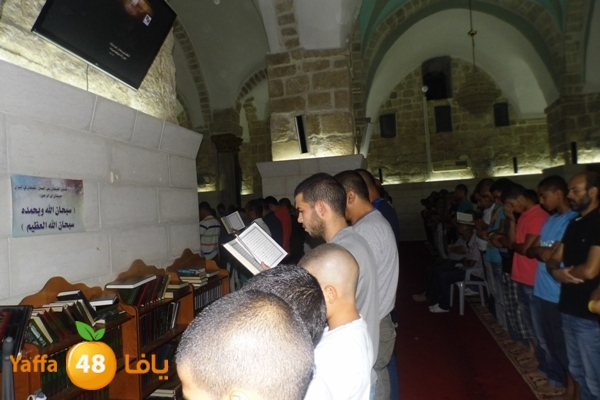 kaber trawe7 718 (23).JPG